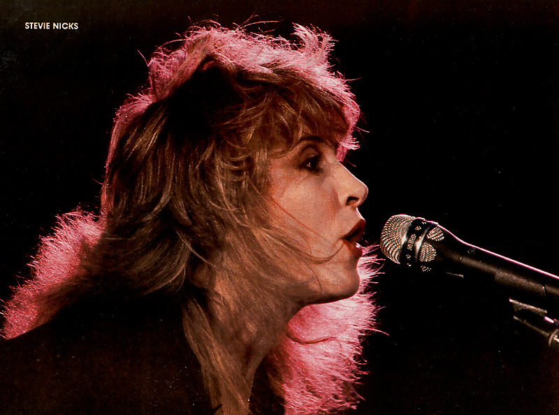 Stevie Nicks #27713121