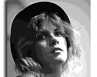 Stevie Nicks #27713297