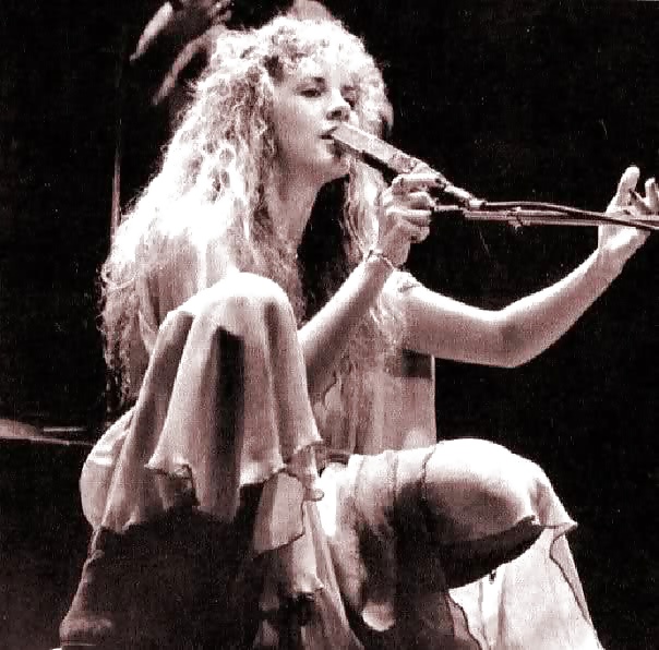 Stevie Nicks #27713322