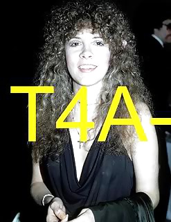Stevie Nicks #27713357