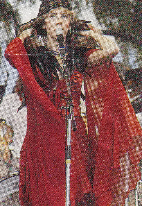 Stevie Nicks #27713435