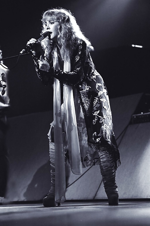 Stevie Nicks #27713452