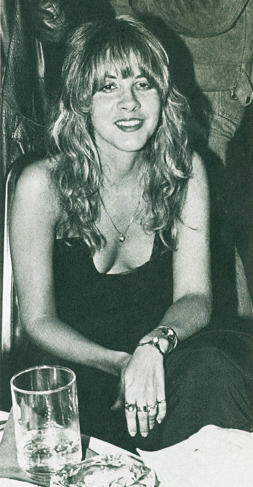 Stevie Nicks #27713482