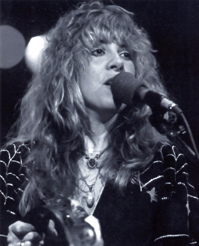 Stevie Nicks #27713531