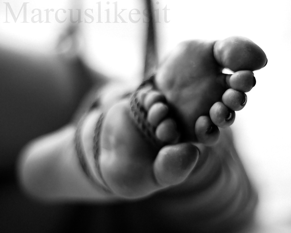 Janas art de la joie 574
 #31603174