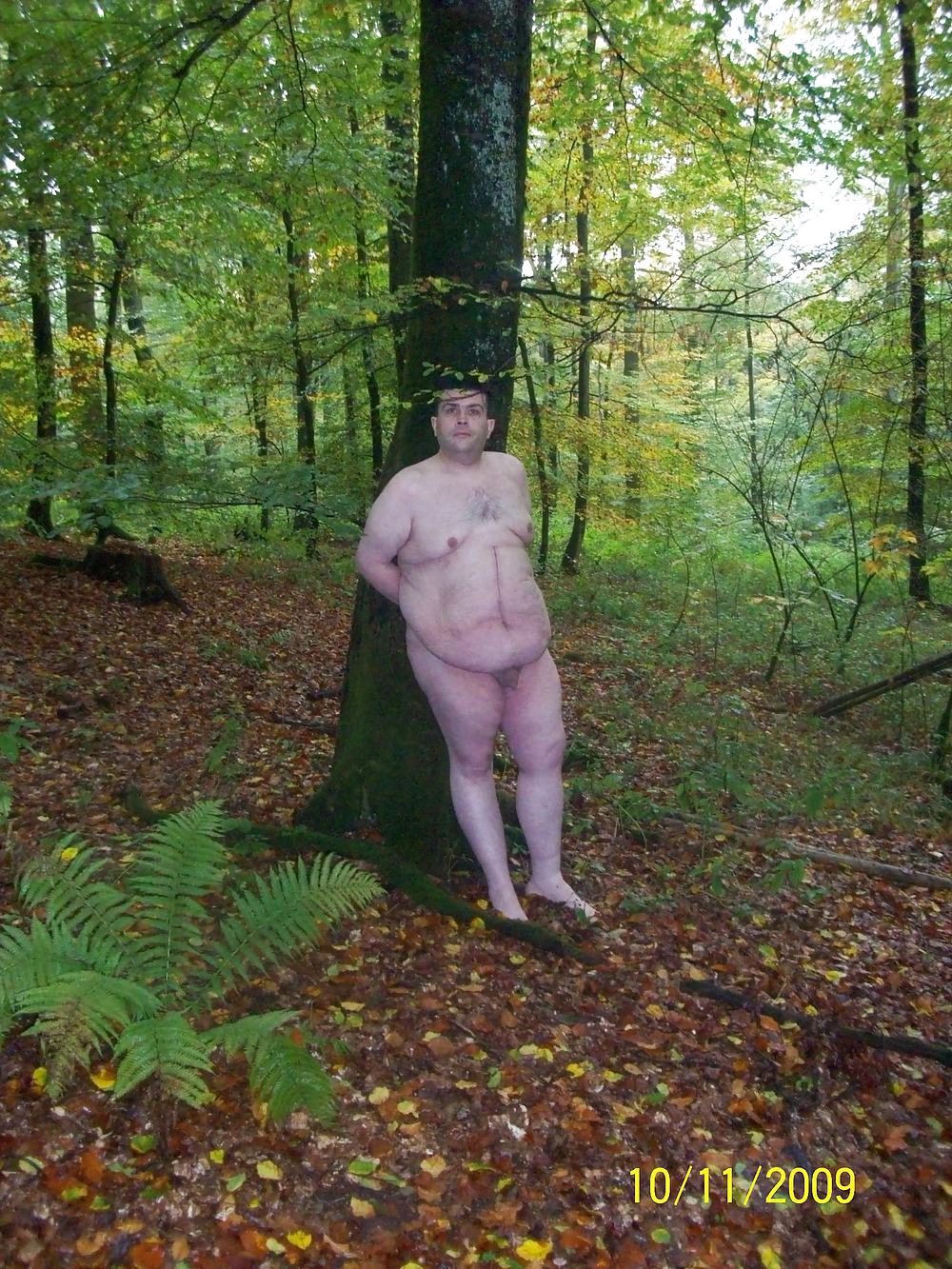 Im Wald #25218429