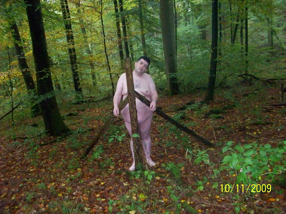 In the forest #25218452