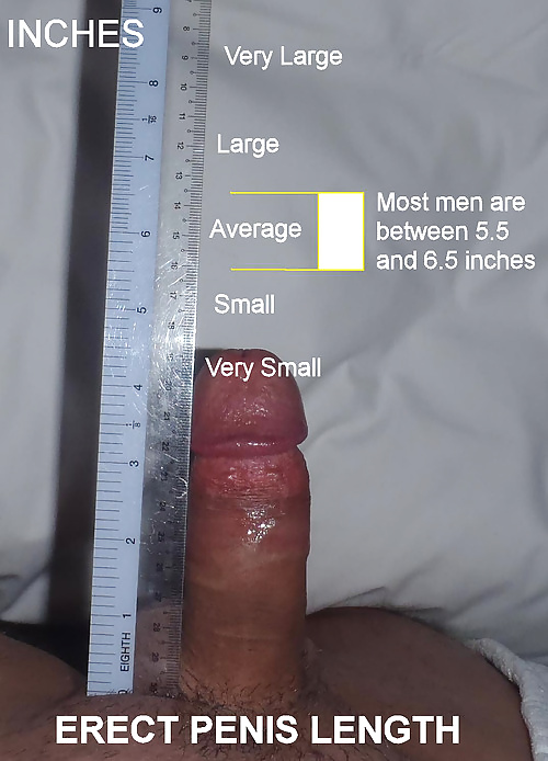 Penis Size Facts Look At picture