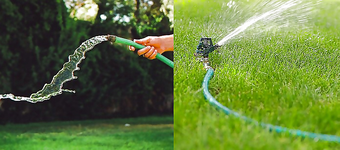 Which Squirter Do You Choose  #25324313