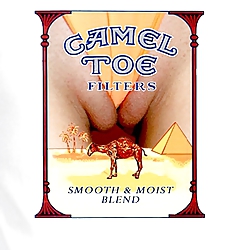 From the Moshe Files: Camel Toe Humour #25331130