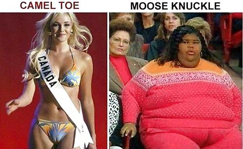 From the Moshe Files: Camel Toe Humour #25331191