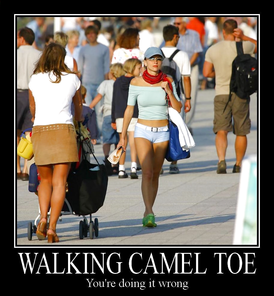 From the Moshe Files: Camel Toe Humour #25331205