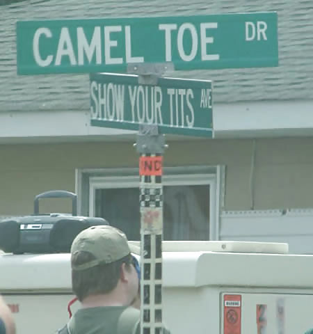 From the Moshe Files: Camel Toe Humour #25331208