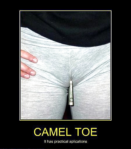 From the Moshe Files: Camel Toe Humour #25331253