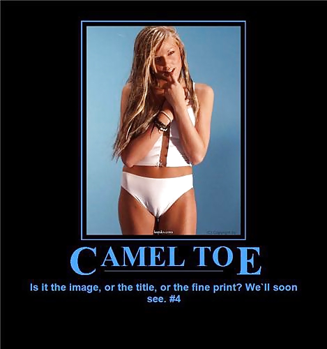 From the Moshe Files: Camel Toe Humour #25331264