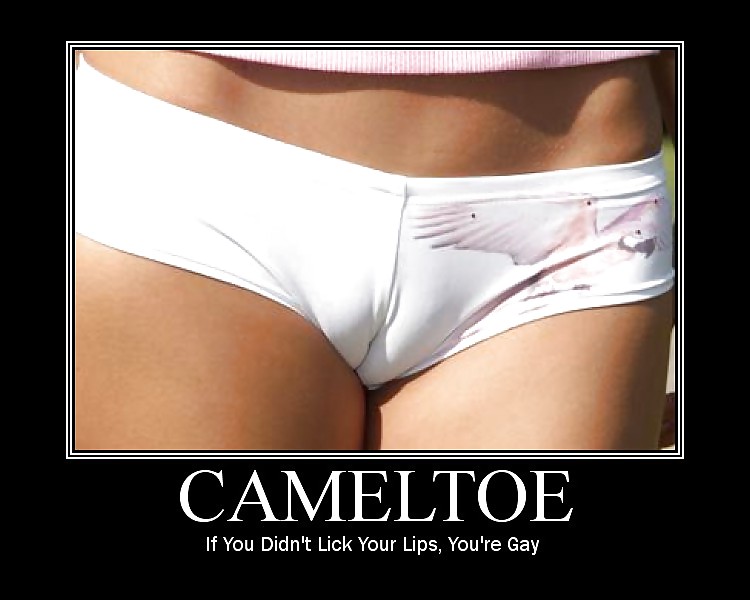 From the Moshe Files: Camel Toe Humour #25331290