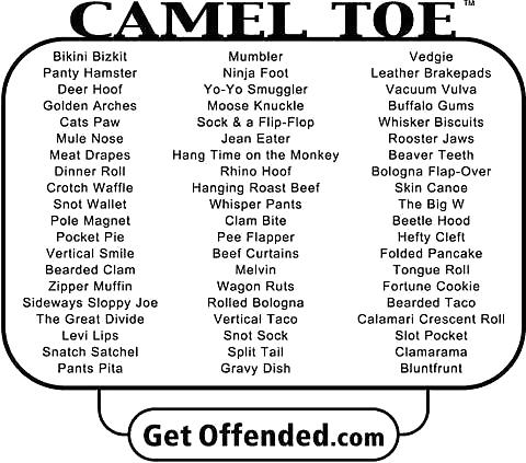From the Moshe Files: Camel Toe Humour #25331312