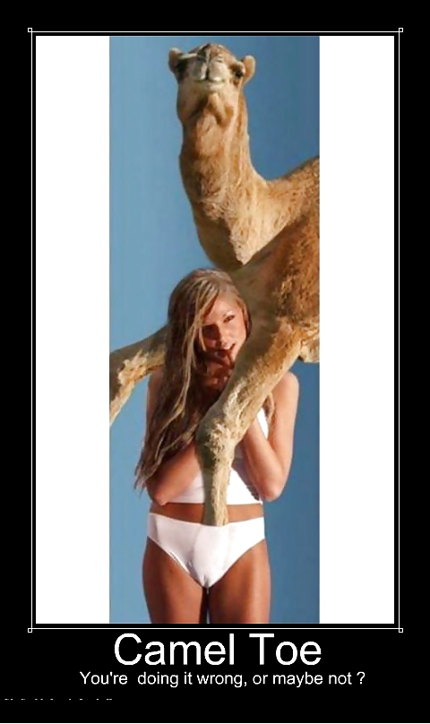 From the Moshe Files: Camel Toe Humour #25331334