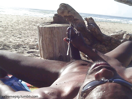 Web gallery: exhib #34381233
