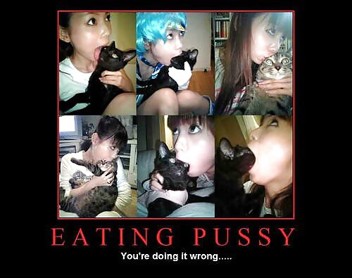 面白い
 #37608958