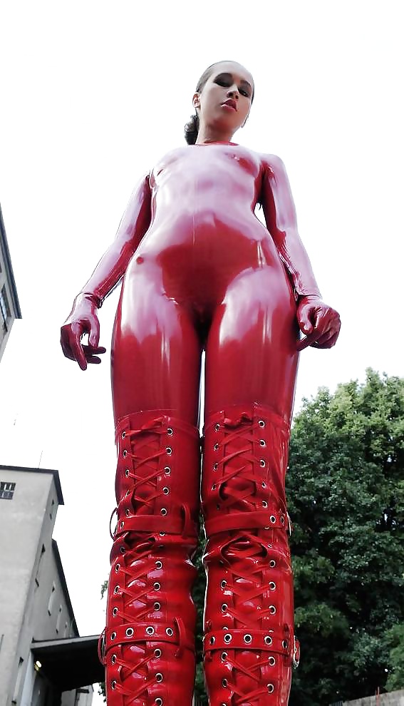 Dog's view on red latex #30863110