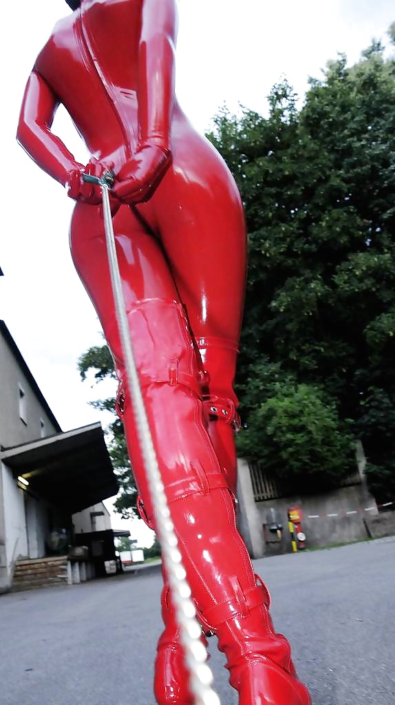 De L'avis De Chien Sur Latex Rouge #30863135