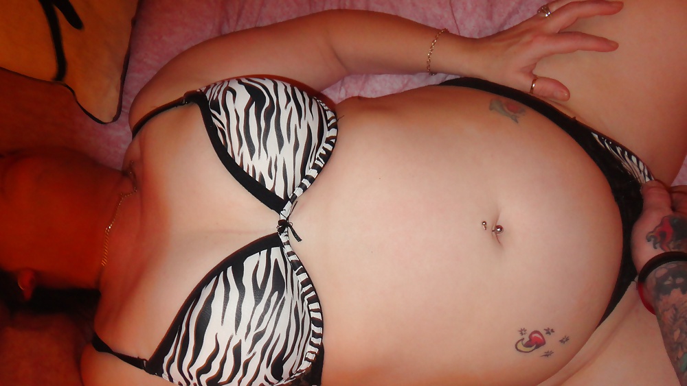 The Little Zebra ....Would You ? #27540439