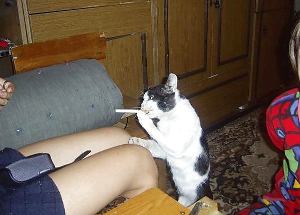 Cool and funny
 #29052399