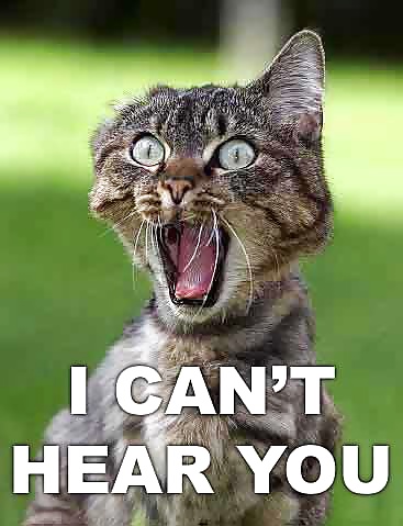 Cool and funny
 #29052403