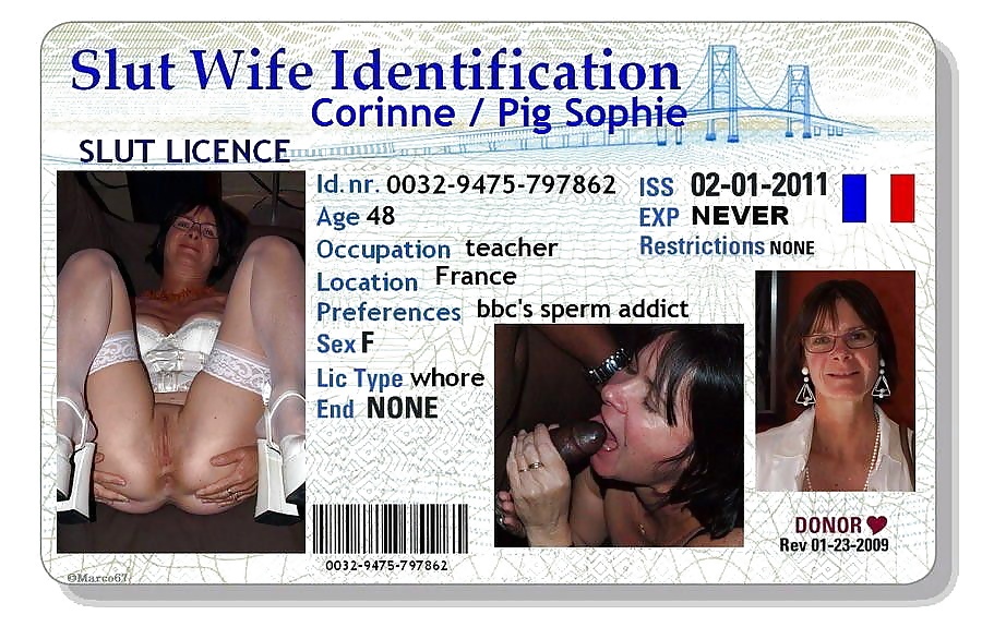 Corinne lossant (Sophie 63) Salope certifiee (web) #38711872