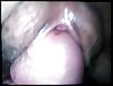 Separadayzorra #37073522