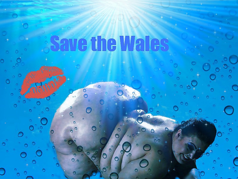 Bbw creativ box
 #35554407