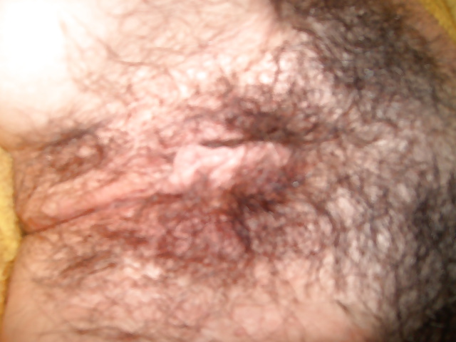 Haarige moese mit gefaerbtem haar
 #41005349