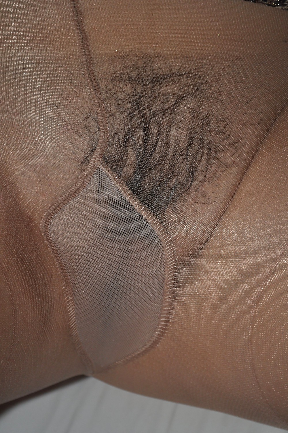 Pantyhose Bush II #36186165