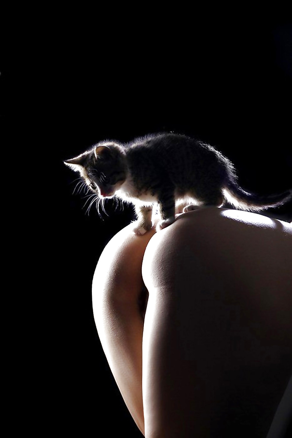 Perfect Ass Perfekt Pic 2 #35749352