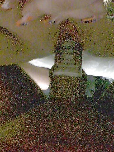 Lo quieres
 #35156802