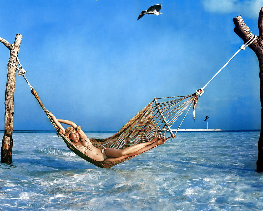 Dreamgirls 56 #23535100