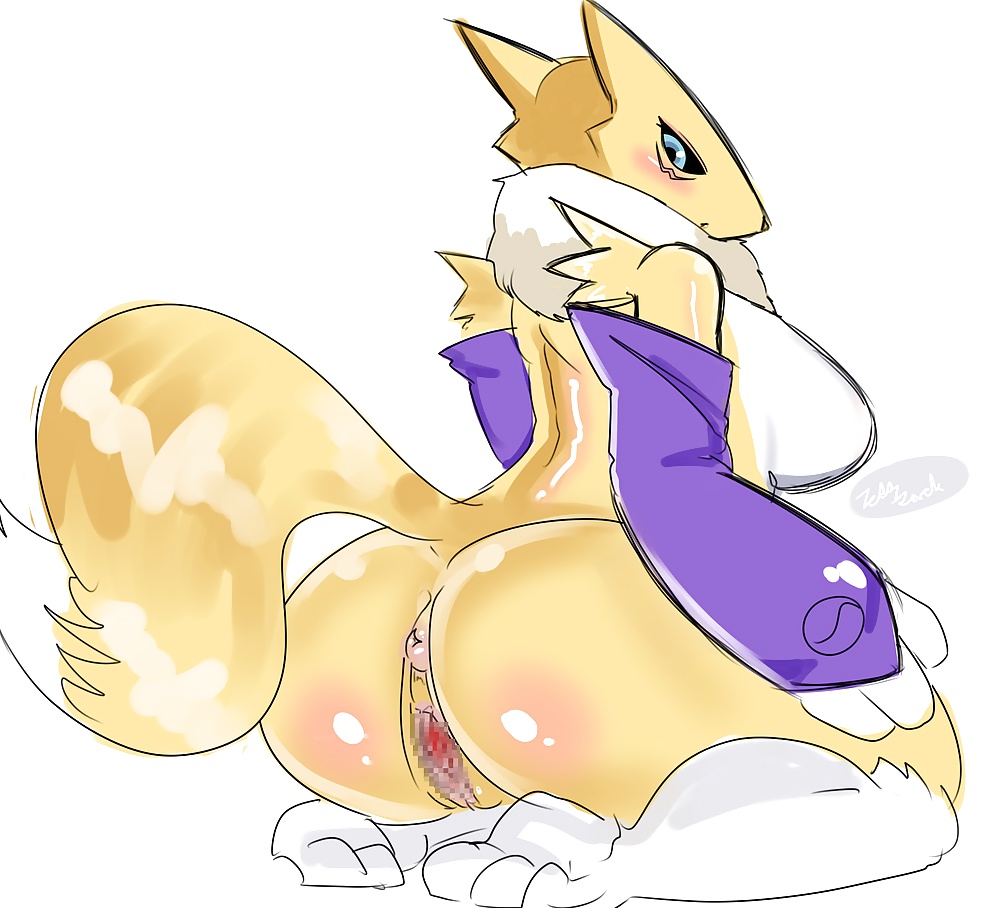 Meine Lieblings Hentai Bilder (renamon) #32793847