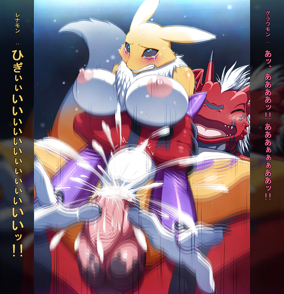 My Favorite Hentai Pics (Renamon) #32793941