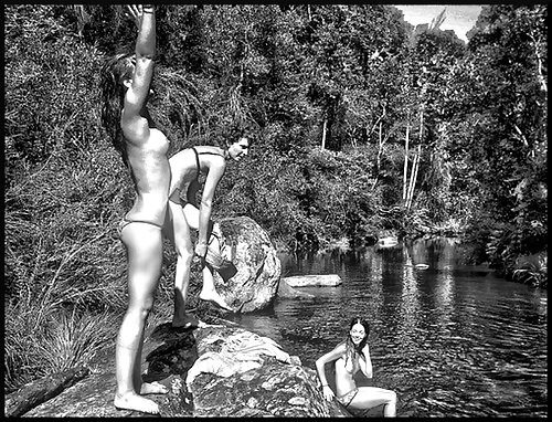 B&w's en colores vivos
 #36867000