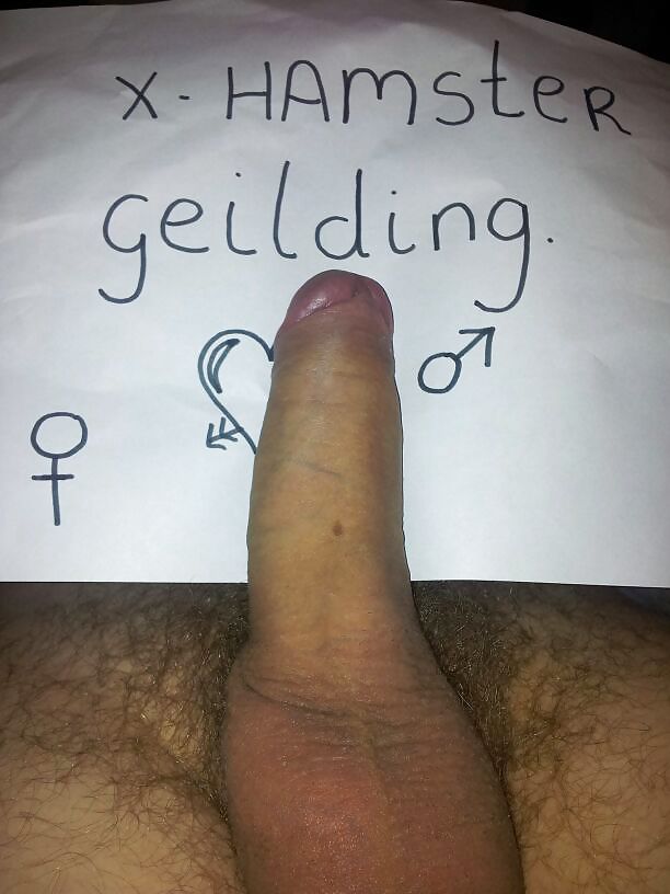 Introduction #23158549