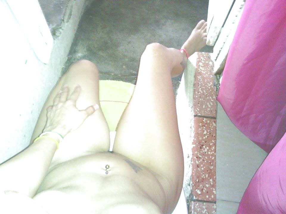 Dominicana estrellita
 #34074352