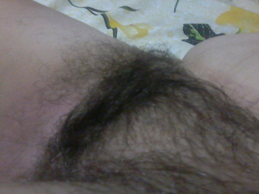 Minhas buceta com os pelos quase grande #37510849