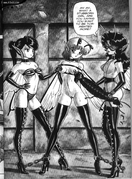 ボンデージフェアリーズ 02
 #26876510