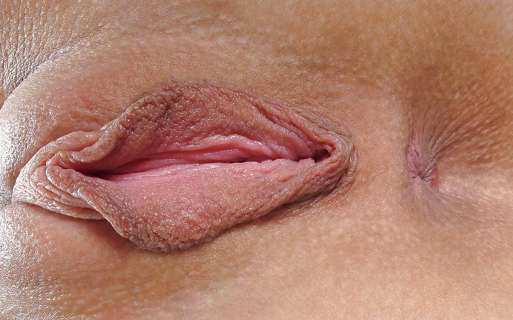 Labias - schamlippen
 #34188392