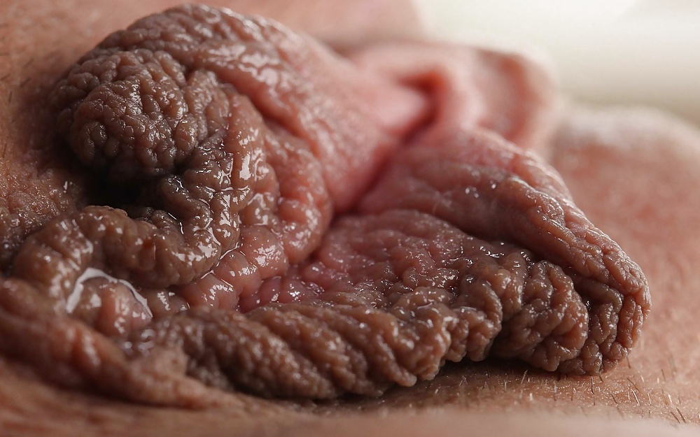 Labias - schamlippen
 #34188418