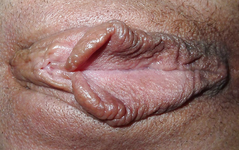 Labias - schamlippen
 #34188432