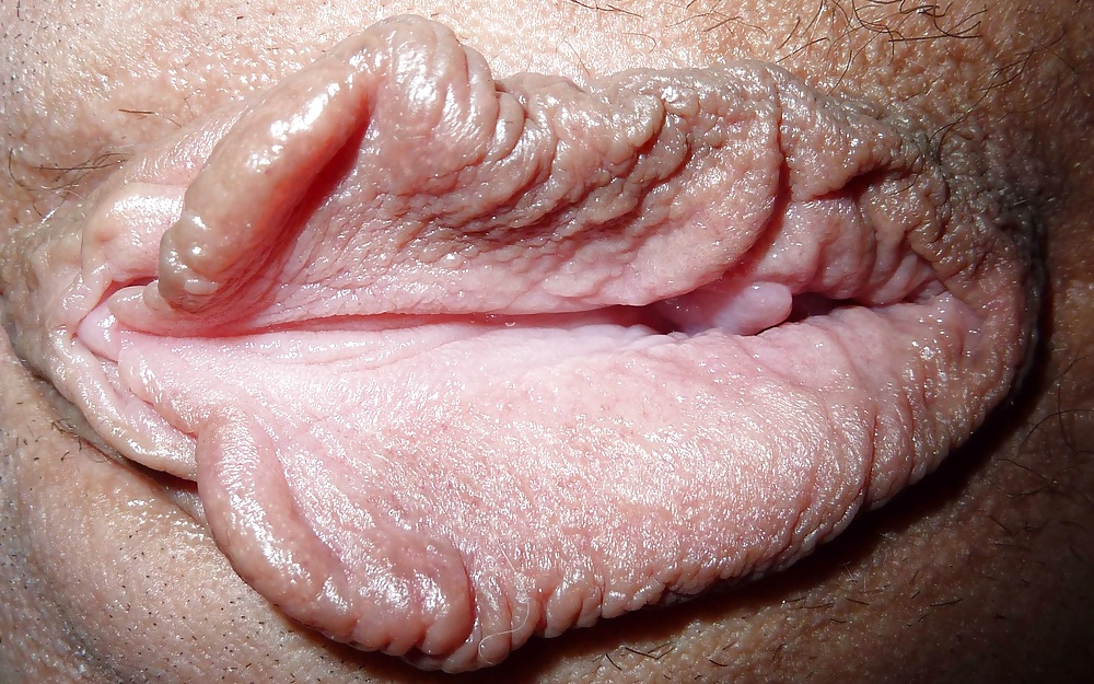 Labias - schamlippen
 #34188437