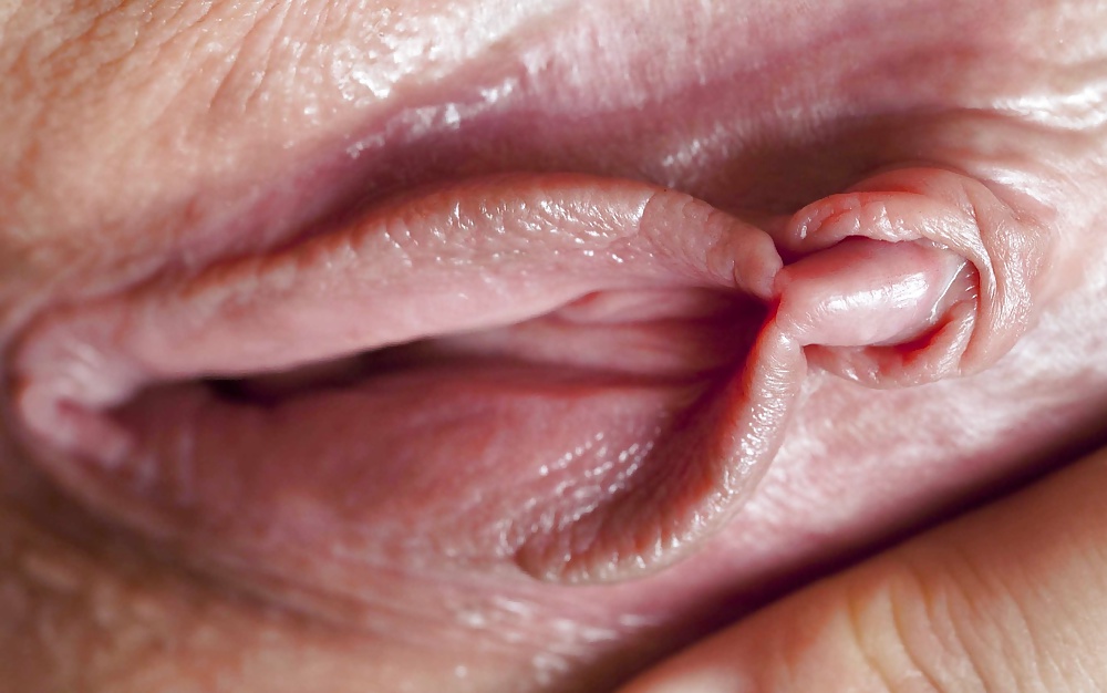 Labias - schamlippen
 #34188482