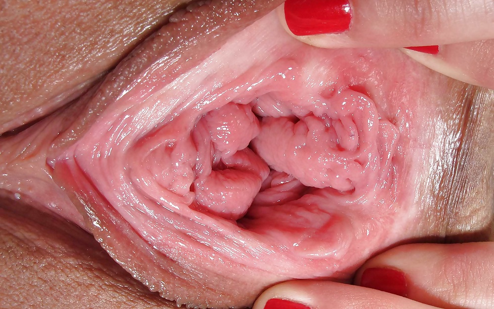 Labias - schamlippen
 #34188675